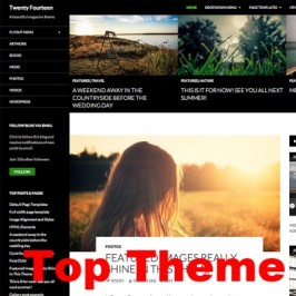 It took a while, but Twenty Fourteen is now one of the Top WordPress Themes