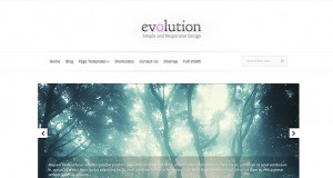 elegant-themes-evolution