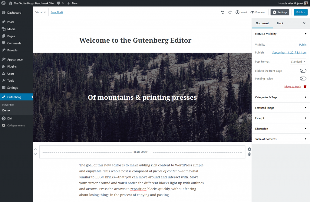 The gutenberg editor