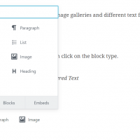 Insert Format Types Gutenberg