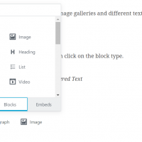 Insert Format Types Gutenberg