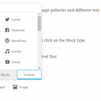 Insert Format Types Gutenberg