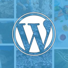 The best image optimization tips for WordPress