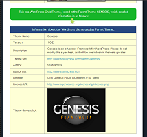 The importance of getting the parent theme information