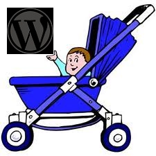 What is a Child Theme?